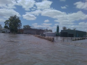 Dalby Water Treatment Plant infrastructure inundated by flooding of Condamine River