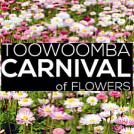 Carnival of Flowers