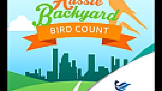 Bird Count logo