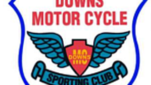 DMDS Logo