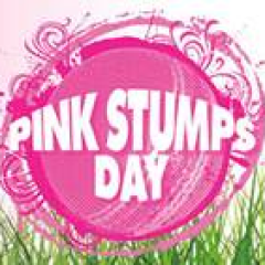 pink_stumps_day