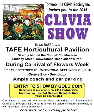 2016_clivia_show_flyer-small