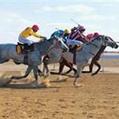 birdsville-races