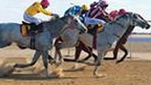 birdsville-races