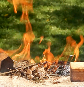 Bushfire fireground simulation