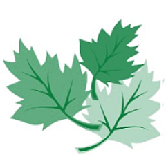 leafmore logo