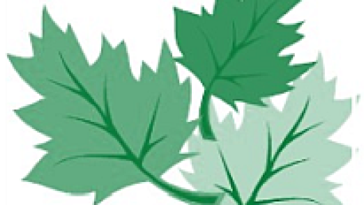 leafmore logo