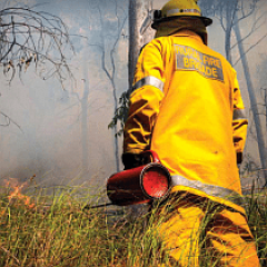 qfes burning off