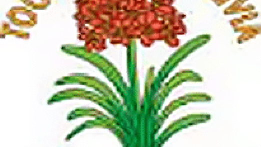 clivia show logo