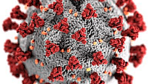 coronavirus