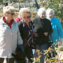 rose garden group