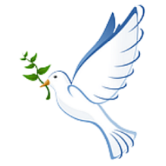 peace dove