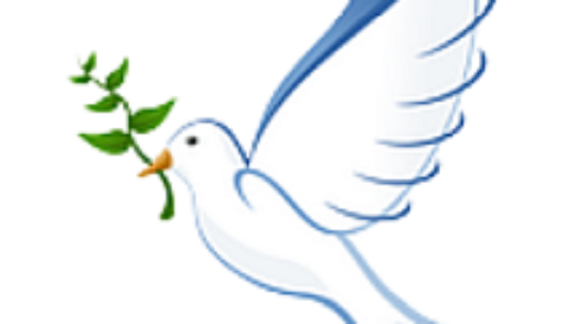 peace dove