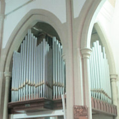 organ