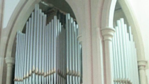 organ